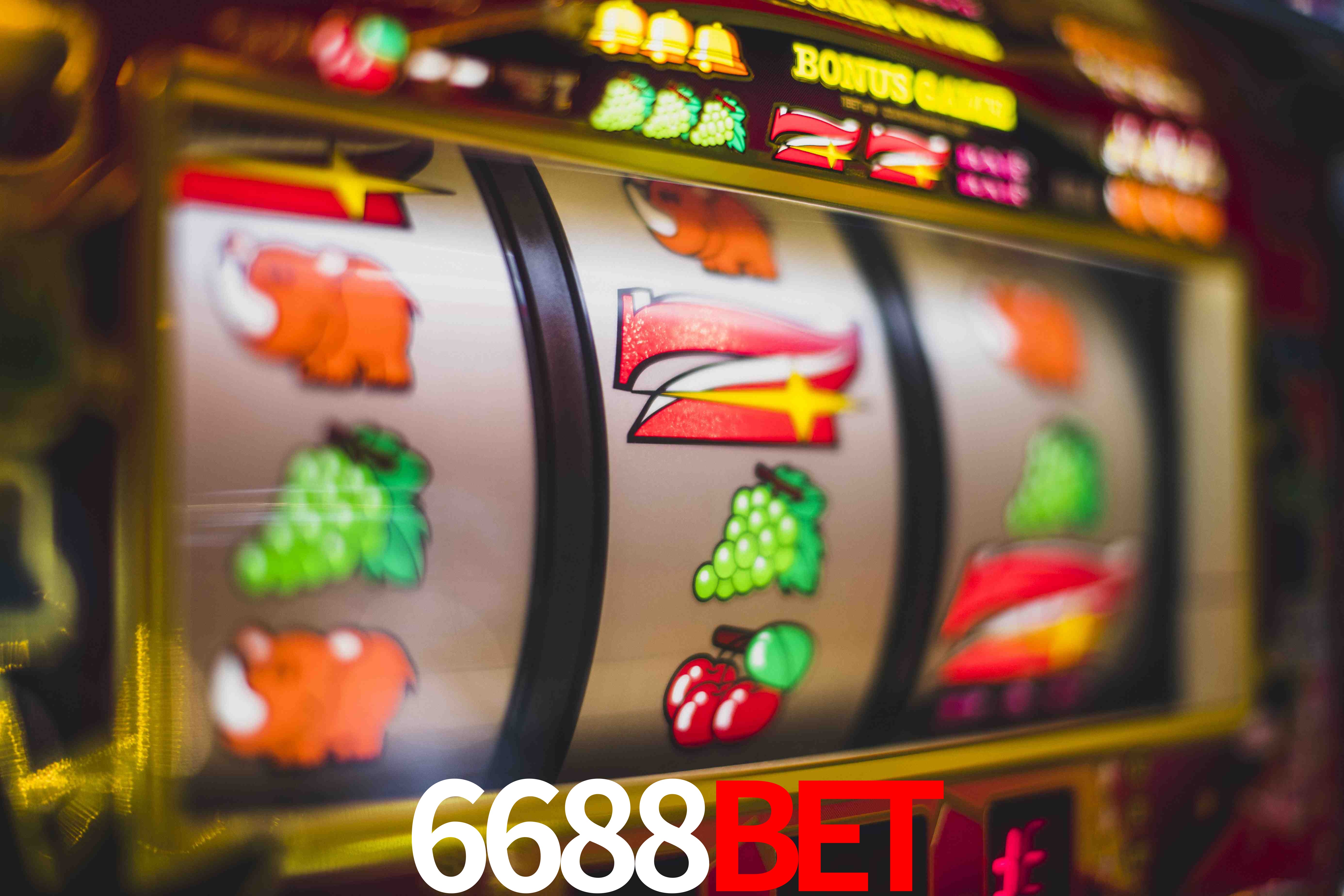 Statistics 6688bet